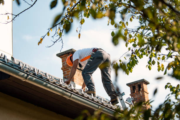 Best Roof Ventilation Installation  in Titusville, PA
