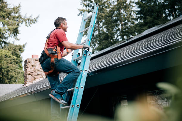 Best Roof Moss and Algae Removal  in Titusville, PA